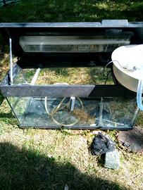 acquario acqua dolce