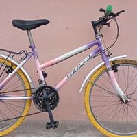 bici MTB Regal 24 "