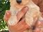 Immagine 5