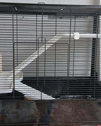 gabbia per criceti