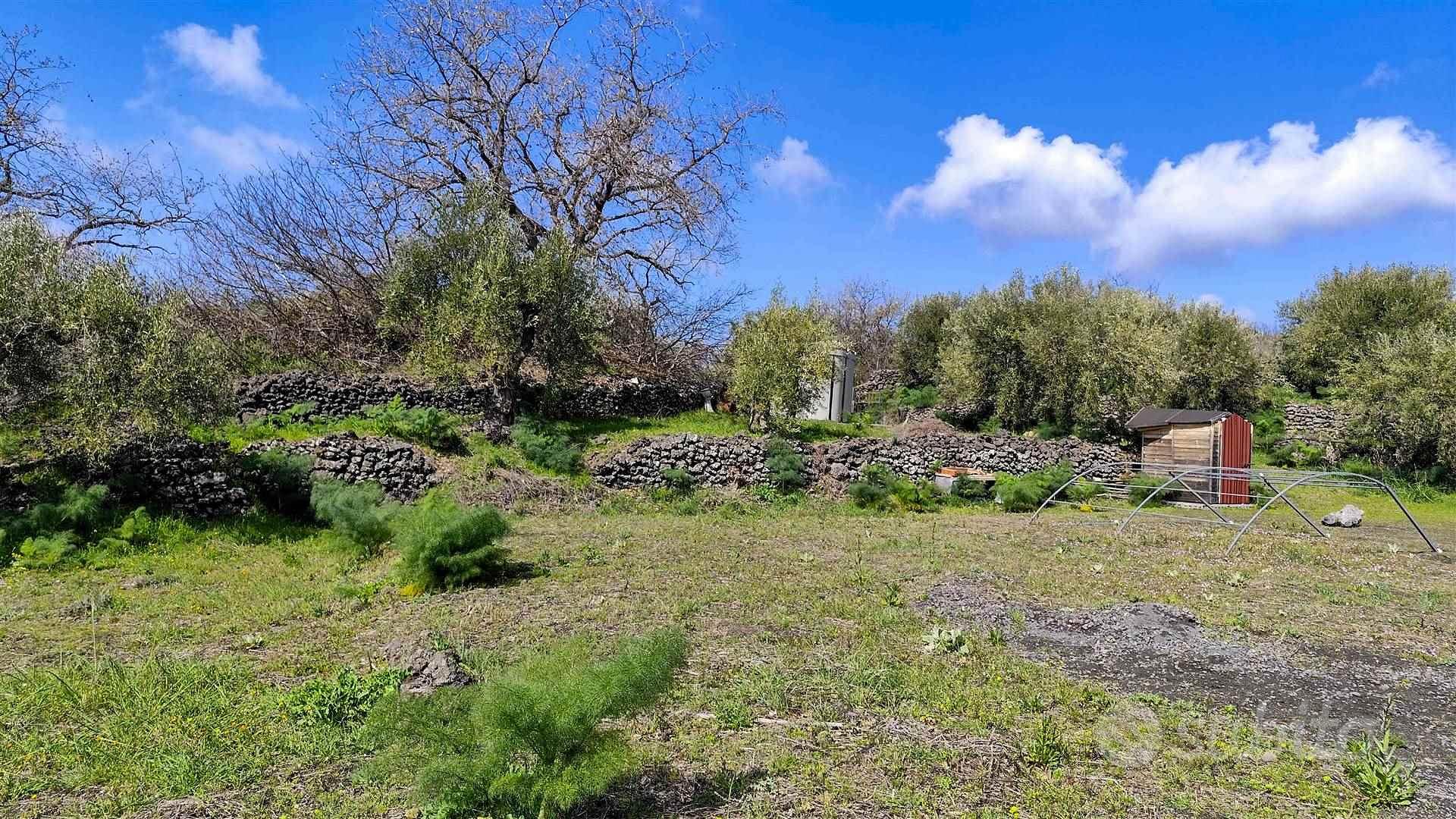 Rif.FP8| terreno agricolo belpasso - View 4