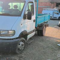 Renault mascotte