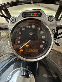 Harley 1200custom