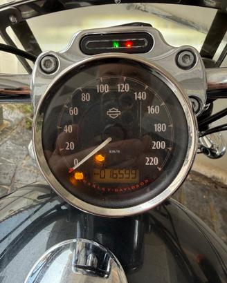 Harley 1200custom