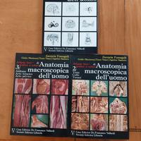 Atlante fotografico anatomia umana