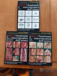 Atlante fotografico anatomia umana
