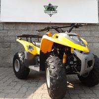 MINI-QUAD ADLY 50