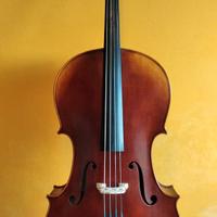 Violoncello Gewa  maestro 5