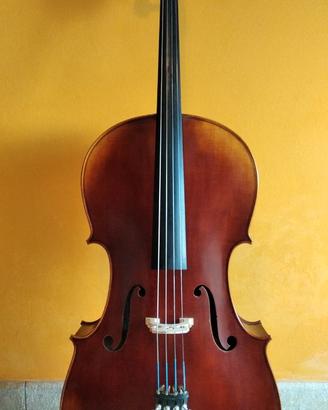 Violoncello Gewa  maestro 5
