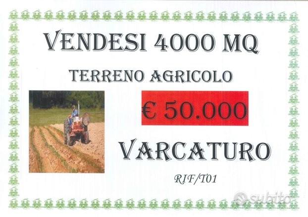 Terreno agricolo di 4000 mq a Varcaturo