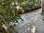Immagine 28