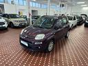 fiat-panda-1-2-easy-ideale-per-neopatentati-euro