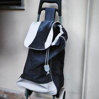 Carrello della spesa 