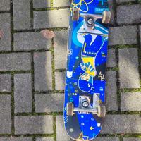 Skateboard