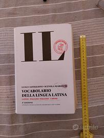 vocabolario inglese italiano Zanichelli