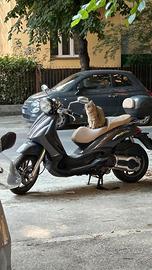 Piaggio Beverly Cruiser 2007 - 16.969 km