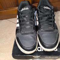 Scarpa Adidas Hoops 2.0 low 