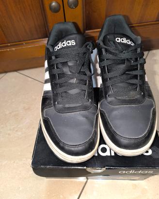 Scarpa Adidas Hoops 2.0 low 