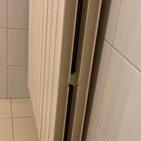 Termosifone bianco in ghisa