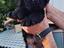 Immagine 6