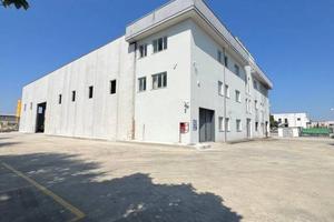 Immobile di 2000 m² con 5 locali a Monterotondo