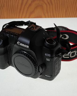 Canon 5D Mark II - 53672 Scatti