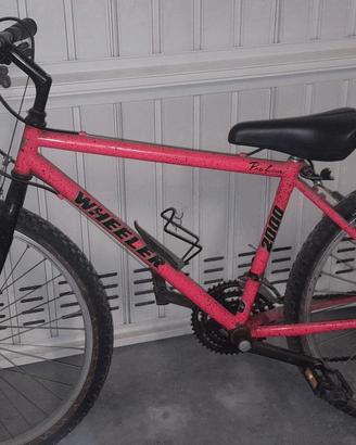Bici MTB vintage 24 pollici