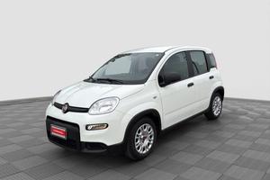 FIAT Panda Panda 1.0 FireFly S&S Hybrid
