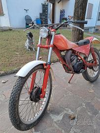 APRILIA trial 50 con Minarelli P6