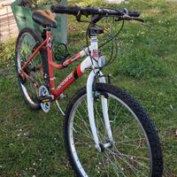 Bici 26 pollici donna