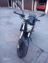 Benelli Bn 251