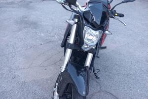 Benelli Bn 251