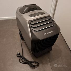 EcoFlow Wave 2 + Batteria Portatile