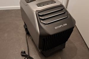 EcoFlow Wave 2 + Batteria Portatile