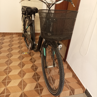Bici elettrica