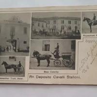 CARTOLINA MILITARE REGGIO EMILIA DEPOSITO CAVALLI