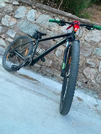 Mtb bici