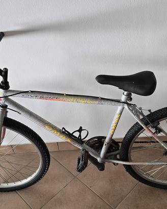 Mountain Bike Omas 26”