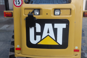 Minipala caterpillar