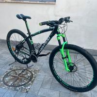 Mtb 29 torpado icaro