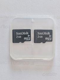 2 MicroSd SanDisk 2 GB