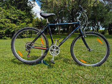 Bicicletta Mtb