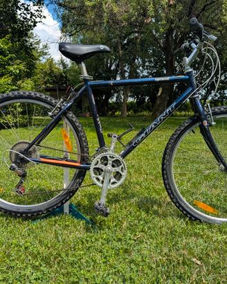 Bicicletta Mtb