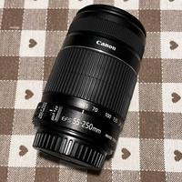 Canon 55-250mm is