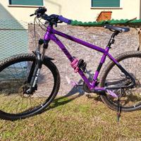 MTB bemmex 29"