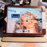 IPad 6 generazione Immacolato