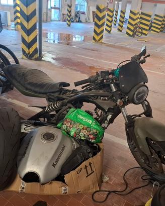 kawasaki er-6n