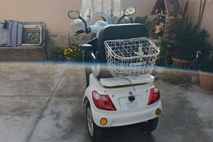 Altro modello - 2024