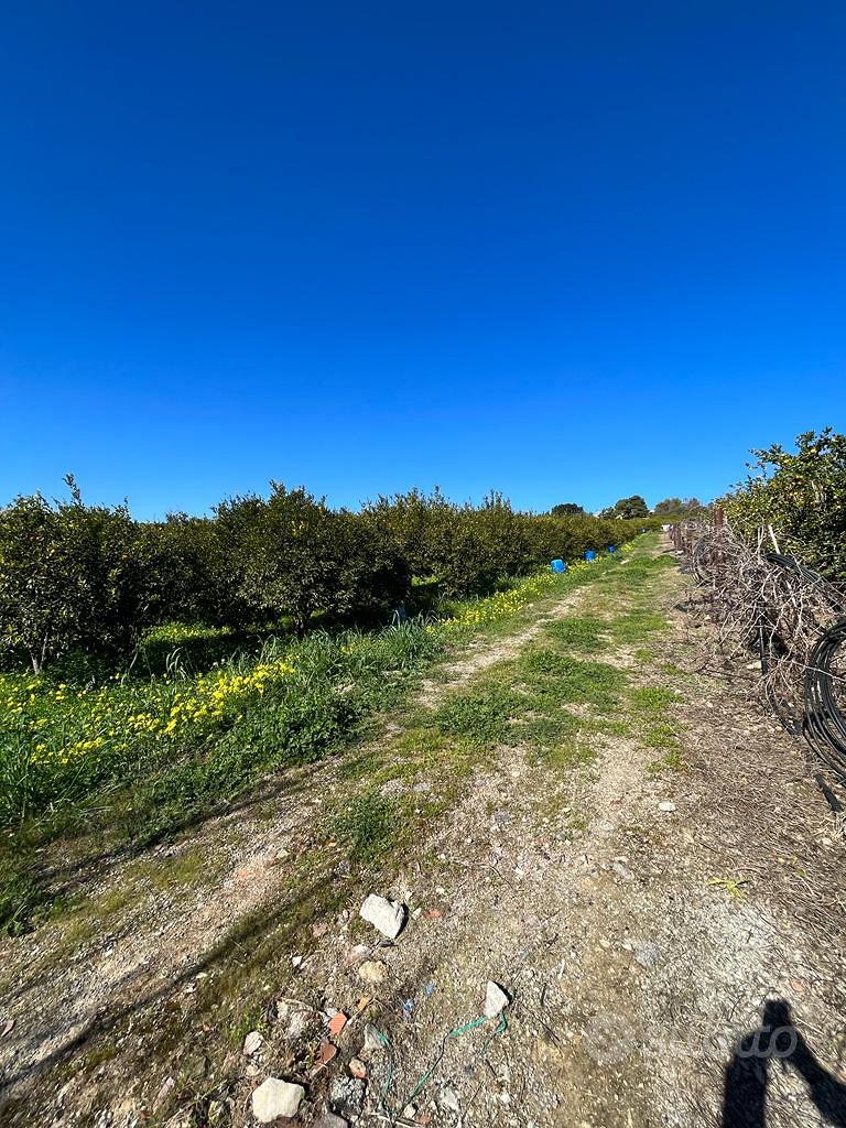 V/1052 Appezzamento di terreno agricolo - Vista 2
