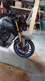 forcelle e cerchi mt09